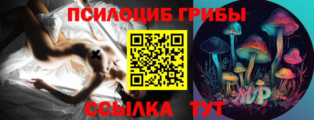 Псилоцибиновые грибы GOLDEN TEACHER Зеленогорск